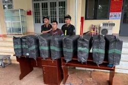Bắt giữ xe bán tải chở hơn 200kg pháo