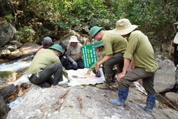 Một tuần 10 vụ phá rừng, tỉnh Lâm Đồng chỉ đạo kiên quyết xử lý cán bộ vi phạm