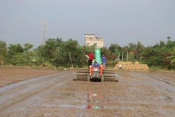 Đẩy mạnh phát triển kinh tế hợp tác trong nông nghiệp