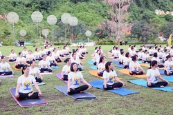 Yoga góp phần xây dựng một trái đất, một sức khỏe chung