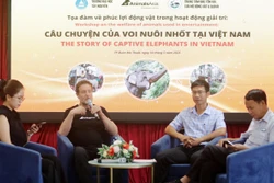 Thúc đẩy các giải pháp bền vững trong công tác bảo tồn voi