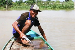 Nông dân đầu nguồn biên giới đón mùa nước nổi