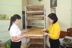 Mở lối phát triển nông nghiệp địa phương, giúp xóa đói giảm nghèo