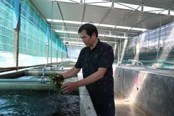 Hiệu quả kép từ chuỗi liên kết rong nho