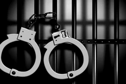 Biên phòng Lạng Sơn liên tiếp ngăn chặn hành vi nhập cảnh trái phép