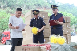 Cao điểm chống buôn lậu: Thu thập thông tin hàng hóa có độ rủi ro cao