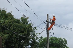 Kon Tum đầu tư hơn 17,3 tỷ đồng sửa chữa lớn đường điện trước mùa mưa bão