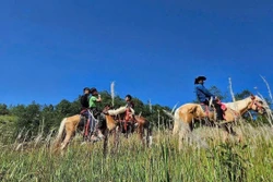 Cưỡi ngựa trải nghiệm Cực Bắc - sản phẩm du lịch độc đáo