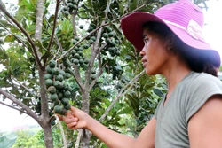 Đồng bào M'Nông an cư, lạc nghiệp nơi vùng biên Quảng Trực
