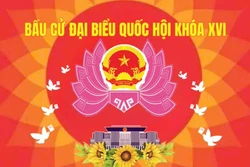 Bầu cử Quốc hội và HĐND: Các đơn vị vũ trang tỉnh Đắk Lắk bỏ phiếu sớm hơn 1 ngày