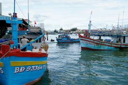 Ngư dân Gia Lai tấp nập ra khơi sau bão