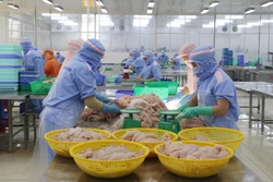  An Giang mở rộng cửa thu hút đầu tư, phát triển kinh tế tư nhân