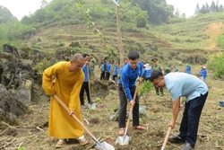 Chung tay phủ xanh biên giới, hướng tới phát triển bền vững