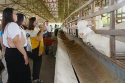 Phát huy lợi thế sông nước, xây dựng sản phẩm du lịch sinh thái đặc thù