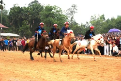 Nét riêng độc đáo của đua ngựa vùng cao thu hút du khách