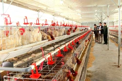 Tăng cường đoàn kết lương - giáo, tạo thế trận biên phòng toàn dân vững chắc