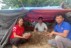 Thắp lửa khởi nghiệp cho thanh niên vùng khó