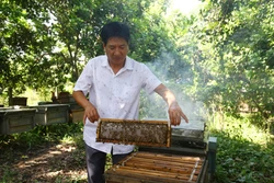 Người nông dân góp phần khẳng định vị thế nông sản Việt Nam trên bản đồ thế giới