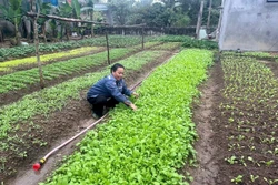 Tiếp sức người dân tái thiết cuộc sống, sản xuất sau thiên tai