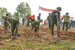 Điện Biên ra quân trồng mới 12.000 ha cây trồng chủ lực