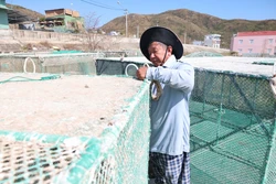 Vùng nuôi trồng hải sản gượng dậy sau bão