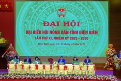 Phát huy vai trò nông dân là chủ thể, trung tâm trong phát triển nông nghiệp