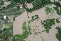 Mưa lớn, nhiều trường học ở Lâm Đồng cho học sinh nghỉ học