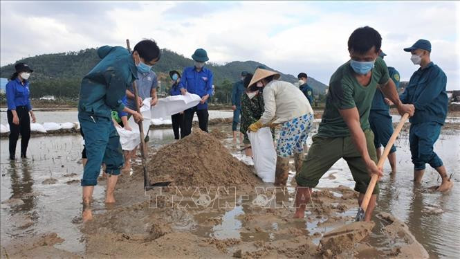 Lực lượng bộ đội, dân quân, công an và đoàn viên thanh niên huyện Tuy Phước ra quân giúp người dân khắc phục sa bồi thủy phá. Tường Quân - TTXVN