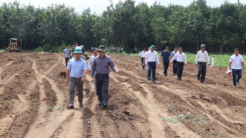 Lan tỏa phong trào "việc phố, việc làng, đất vàng cũng hiến"