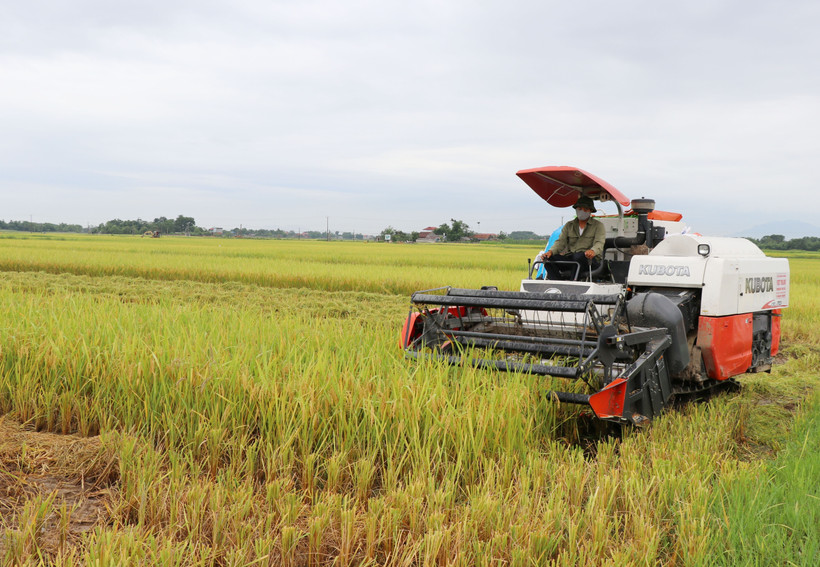 Phú Bình hướng tới huyện nông thôn mới đầu tiên của tỉnh Thái Nguyên