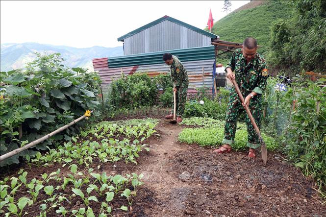 Cán bộ tại chốt kiểm soát trên đường tuần tra biên giới thuộc Đồn Biên phòng cửa khẩu Chiềng Khương tăng gia sản xuất. Ảnh: Hữu Quyết – TTXVN