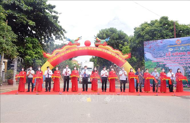Cắt băng khởi hành lô nhãn Sông Mã – Sơn La xuất khẩu sang thị trường EU và Vương quốc Anh năm 2021. Ảnh: Quang Quyết-TTXVN