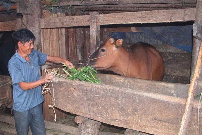 Cao Bằng chăm lo, hỗ trợ đồng bào khu vực biên giới phát triển sản xuất