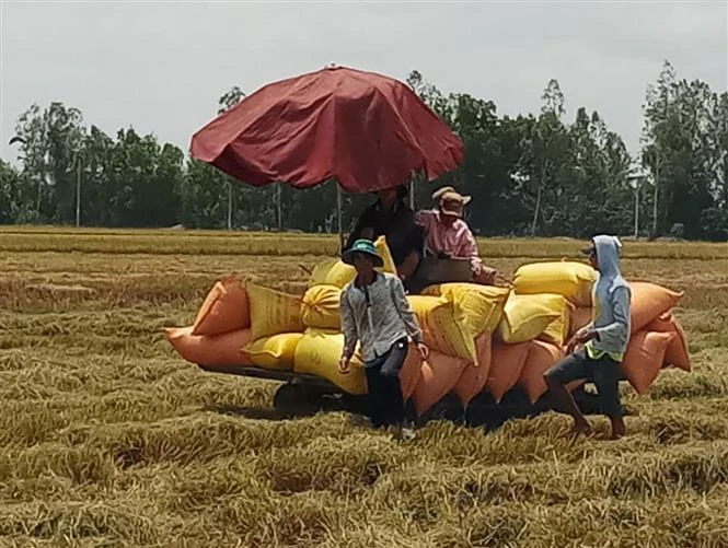 Bạc Liêu thực hiện tốt công tác an sinh xã hội