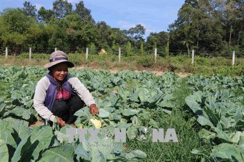 Trà Vinh giảm hơn 4.000 hộ nghèo