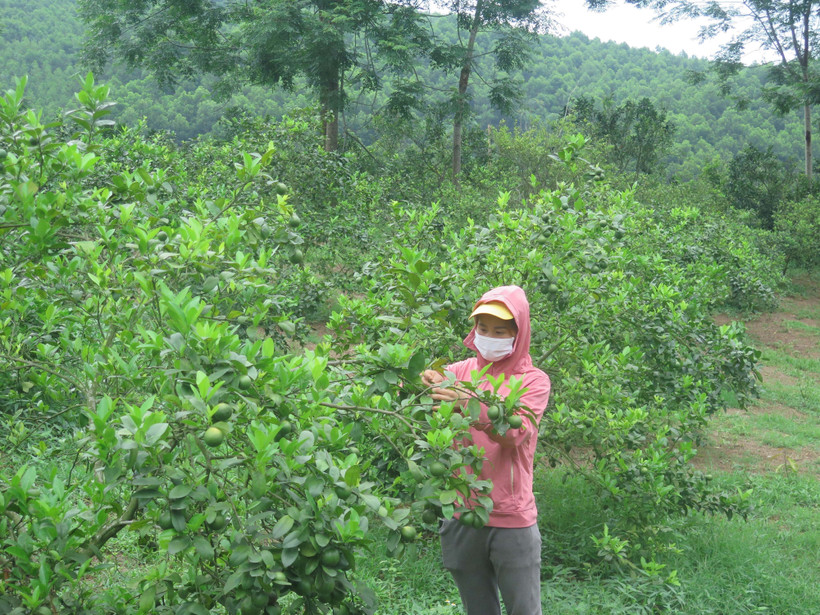 Xã miền núi Minh Khương vượt khó xây dựng nông thôn mới