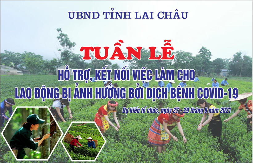 Công tác chuẩn bị cho Tuần lễ đang được các đơn vị gấp rút chuẩn bị chu đáo, hiệu quả. Ảnh: Việt Hoàng-TTXVN
