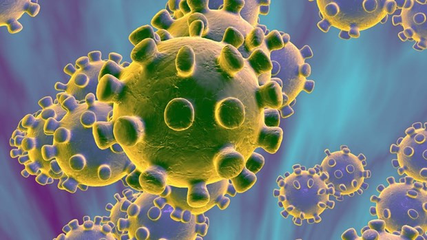 Nhiệt độ, độ ẩm và bề mặt tác động đến thời gian sống sót của virus SARS-CoV-2