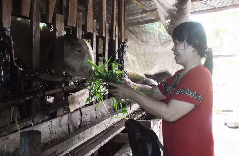 Hậu Giang đầu tư phát triển vùng đồng bào dân tộc Khmer
