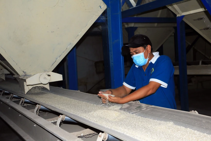 Chế biến gạo tại Công ty TNHH Sản xuất - Thương mại Phước Thành IV (huyện Long Hồ, tỉnh Vĩnh Long). Ảnh: Phạm Minh Tuấn-TTXVN.