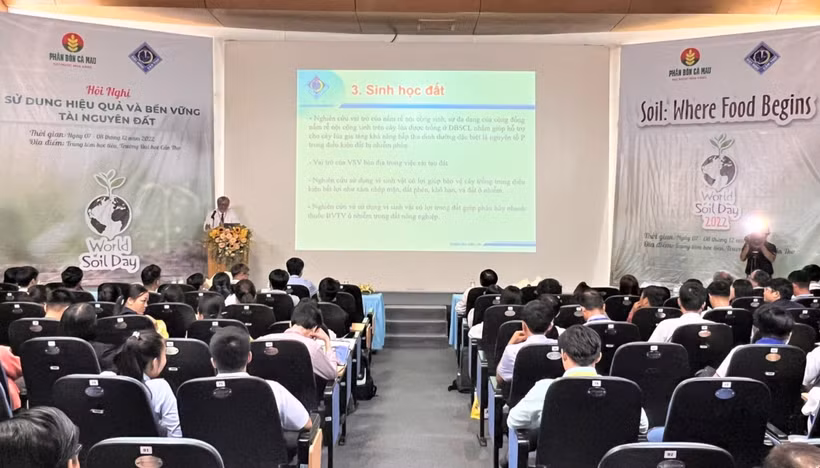 Sử dụng hiệu quả, bền vững tài nguyên đất