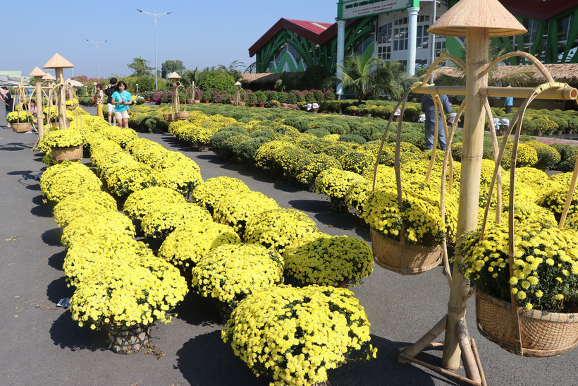 Lần đầu tiên tổ chức Festival hoa, kiểng Sa Đéc với chủ đề “Tình đất - Tình hoa”