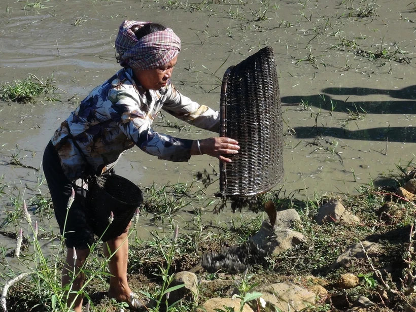 Phục dựng lễ hội Phá Bàu của dân tộc S’tiêng