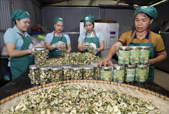 Ưu tiên chính sách tìm đầu ra cho nông sản miền núi
