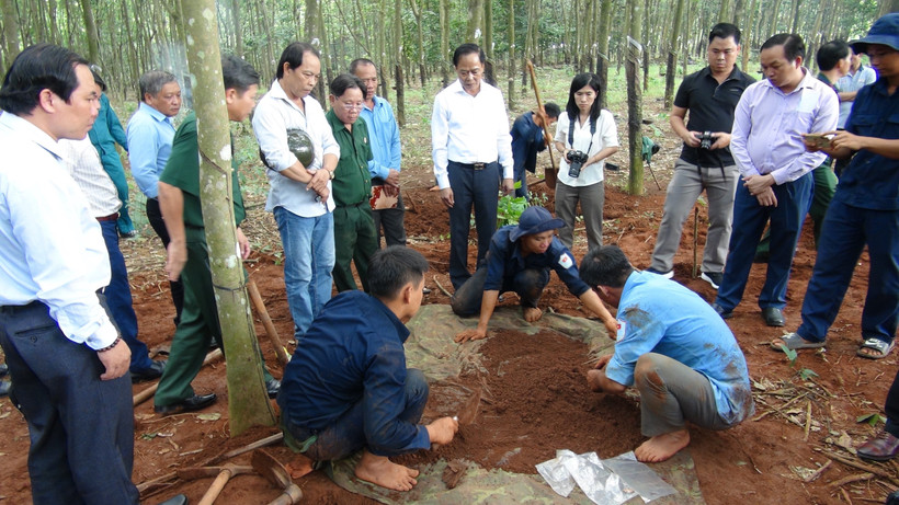 Khu vực lô cao su tim thấy nhiều hài cốt liệt sỹ. Ảnh: K GỬIH-TTXVN