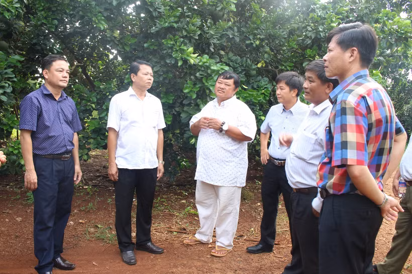 Ông Lầu Sy Nịp sản xuất giỏi, góp phần xây dựng nông thôn mới