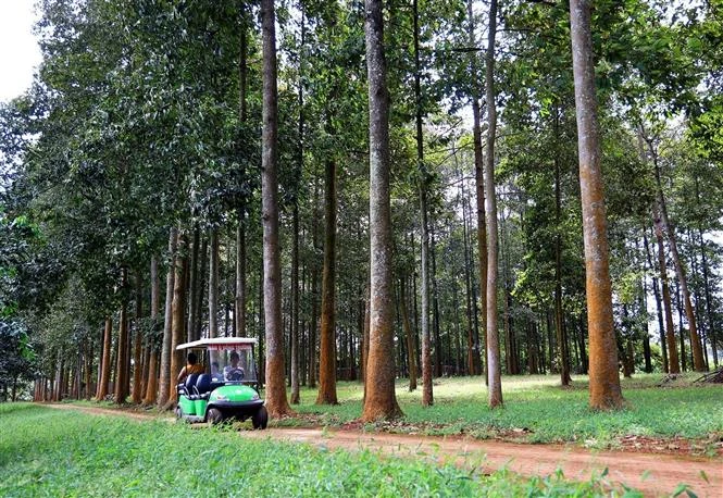 Xây dựng Đồng Nai trở thành địa phương trọng điểm về du lịch (Bài 1)