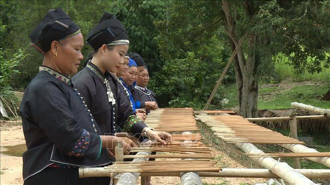 Người Nùng U ở thôn Hạ Lập, xã Bằng Lang, huyện Quang Bình (Hà Giang) phơi hương. Ảnh: Nguyễn Chiến-TTXVN