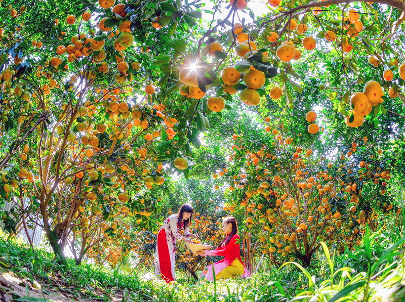 Sắc xuân phương Nam. Ảnh: Hiếu Minh Vũ