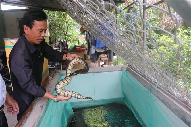 Làm giàu trên vùng kiểm soát lũ phía Tây tỉnh Tiền Giang
